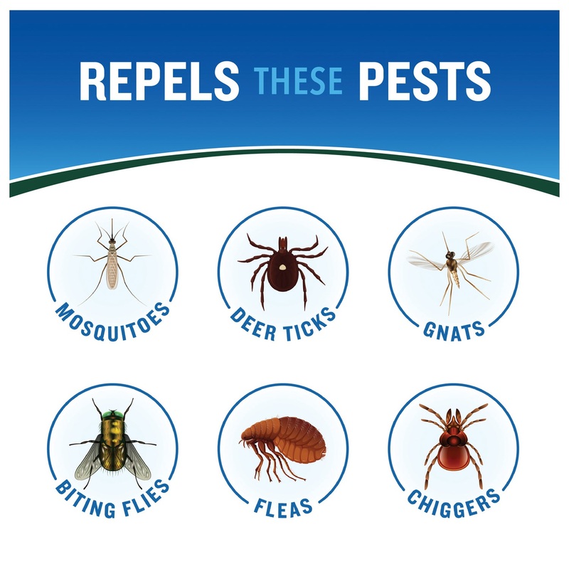 Backwoods 23% DEET Aerosol Insect Repellent – Long-Lasting, Unscented Protection for Hikers, Hunters & Outdoors Enthusiasts DRY