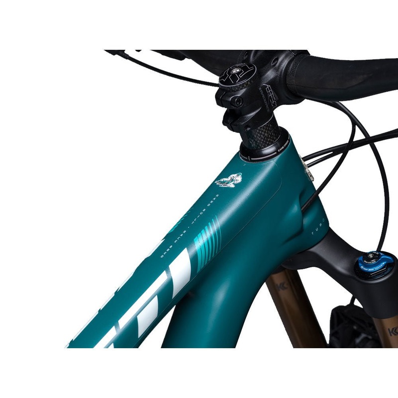 DYEDBRO Frame Protection – Matte Clear Black Logo